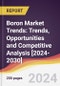 Boron Market Trends: Trends, Opportunities and Competitive Analysis [2024-2030] - Product Image